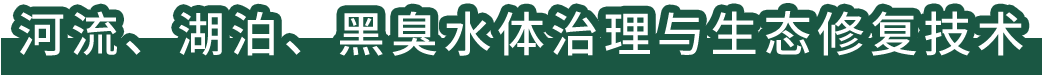 河流、湖泊、黑臭水體治理與生態修復技術