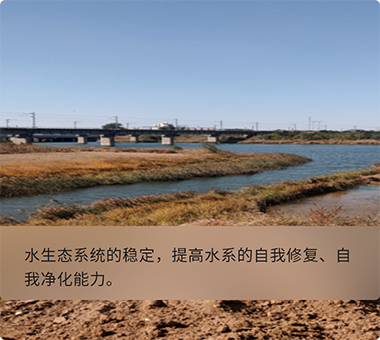 人工濕地示范工程