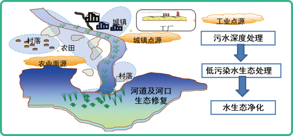 人工濕地，人工濕地建設
