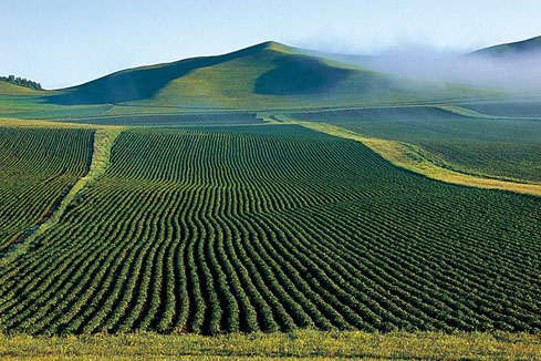 研讀土壤修復行業發展報告（咨詢篇）、（工程篇）