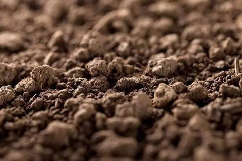 <a href=http://www.efco-dueren.cn/turangjiance.html>土壤檢測</a> 土壤檢測